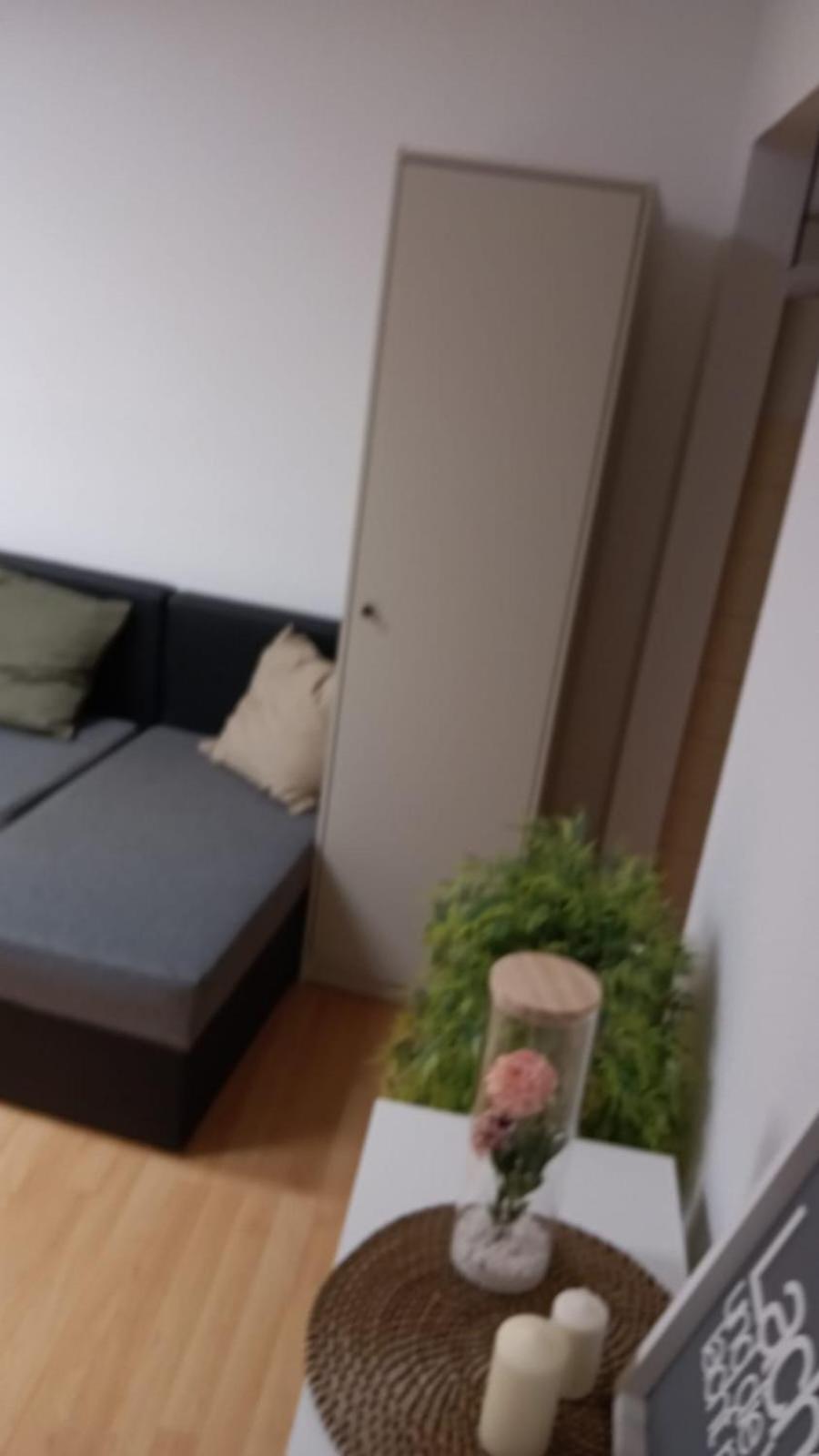 Apartament SleepWellKolonia Zewnętrze zdjęcie